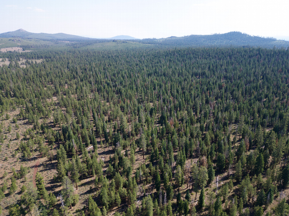 View South, from 120m above the point