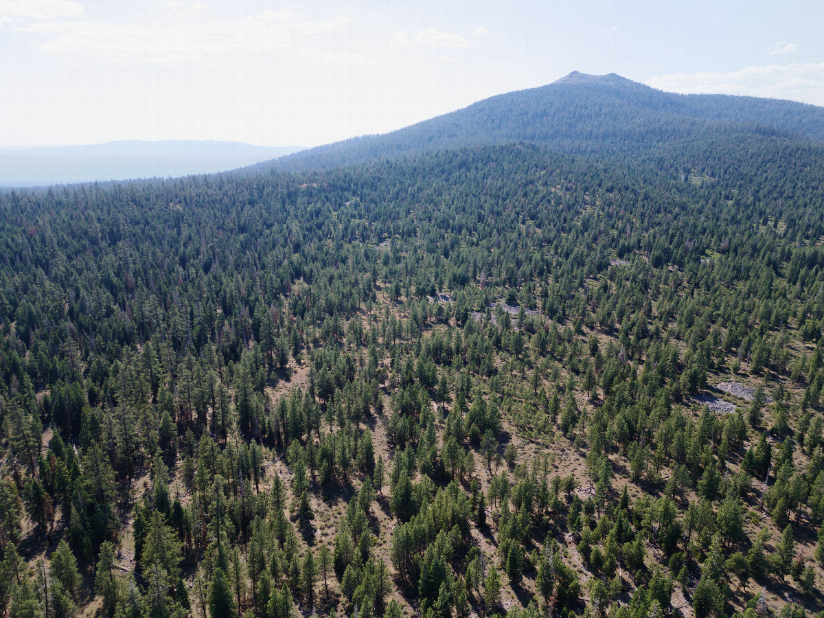 View West (towards 7189’ Hager Mountain), from 120m above the point