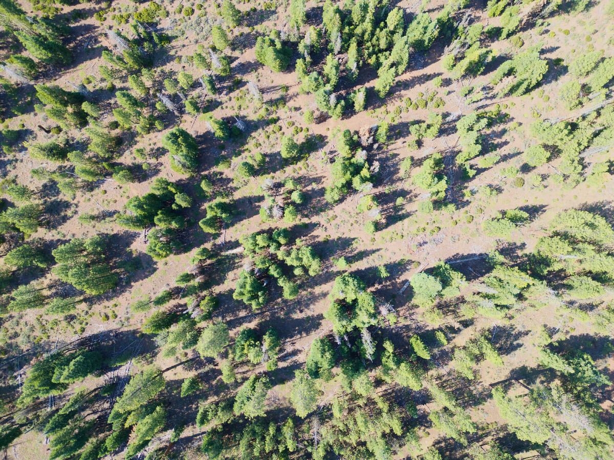 Looking down on the point from a height of 120m