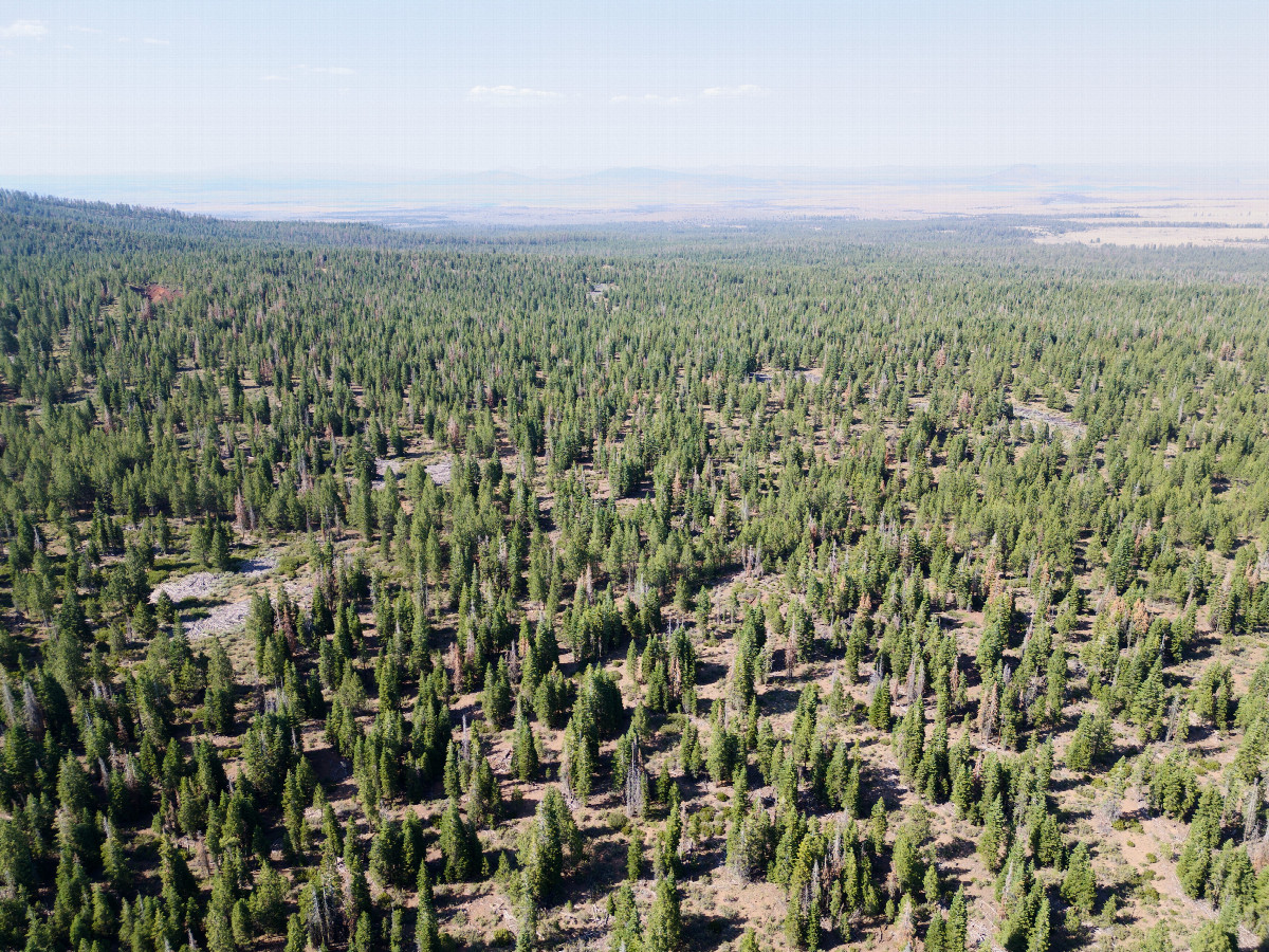 View North, from 120m above the point