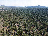 #10: View South, from 120m above the point