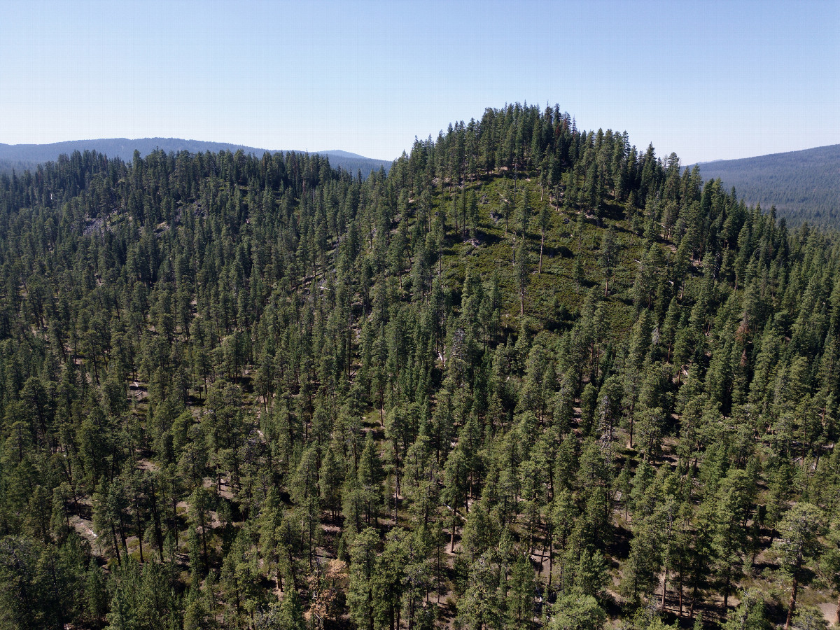 View West, from 120m above the point