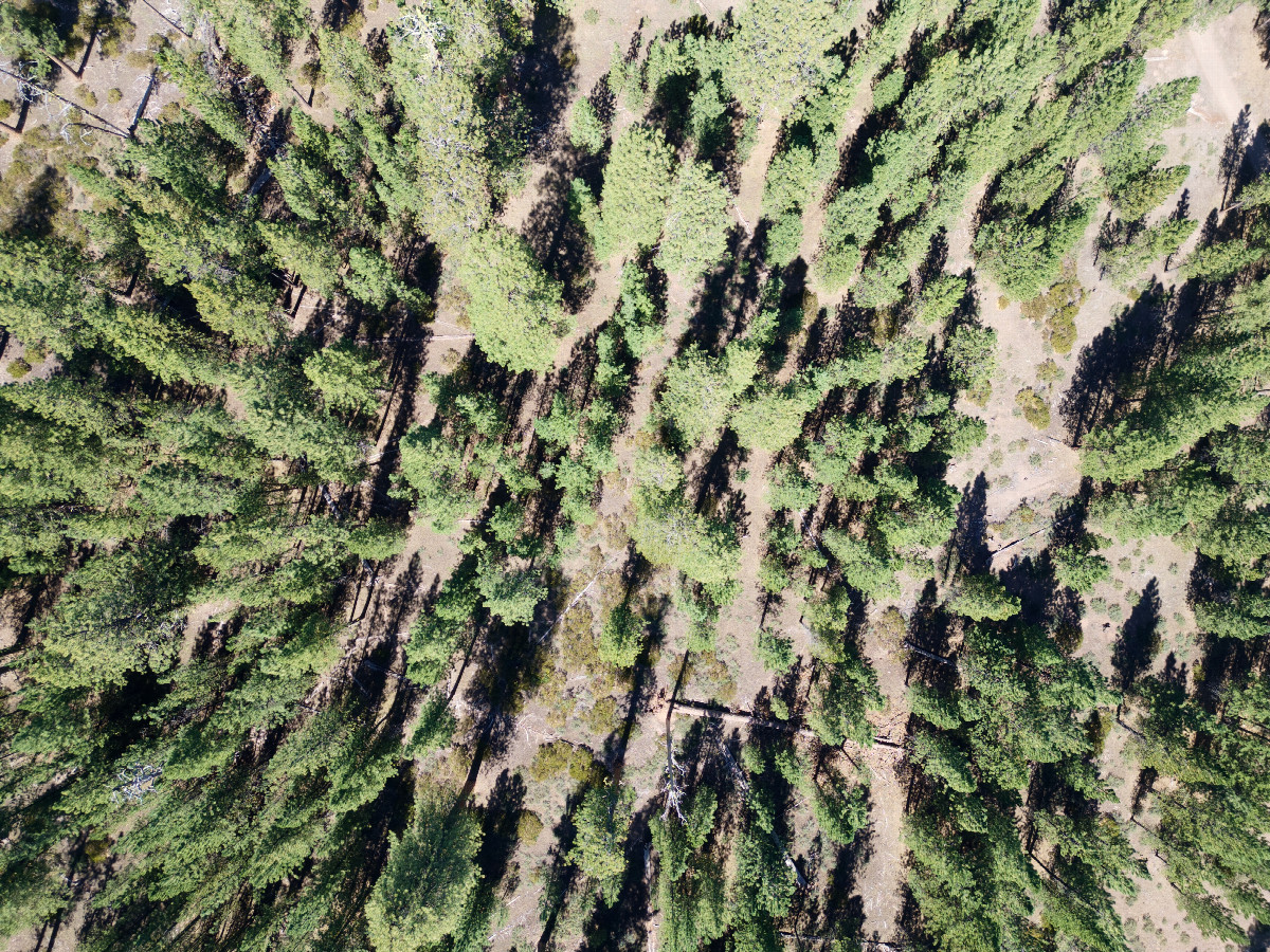 Looking down on the point from a height of 120m