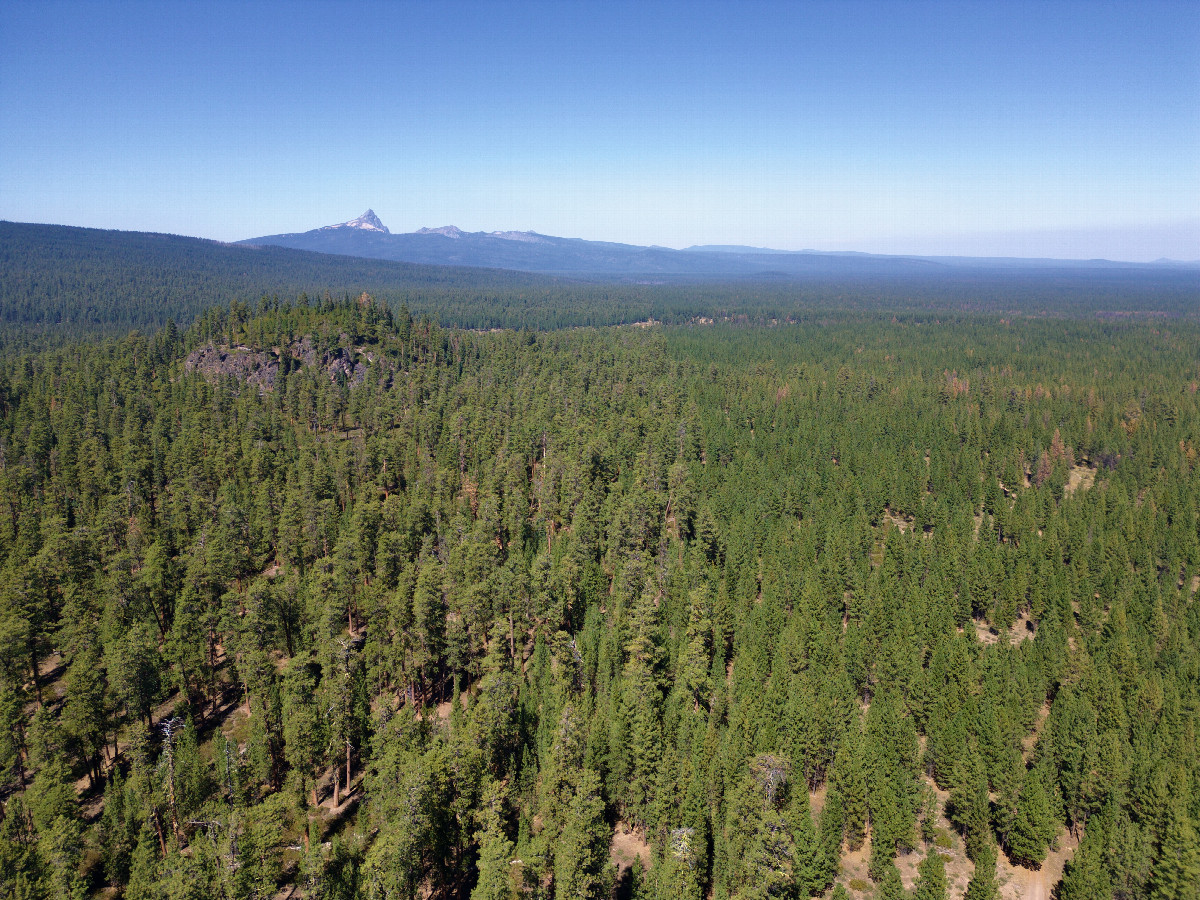 View North (with a view of Mount Thielsen), from 120m above the point