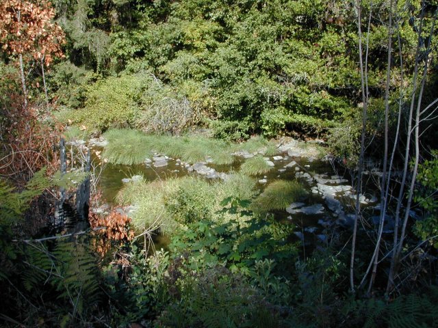 Relaxing on lovely Myrtle Creek.