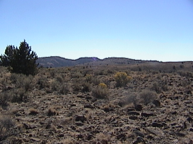 Looking South from the confluence