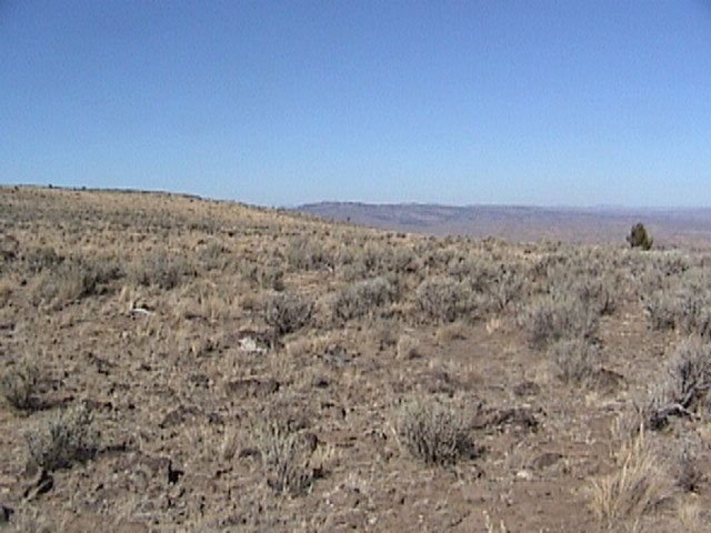 Looking Southeast from the confluence