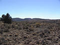 #3: Looking South from the confluence