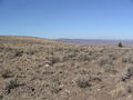 #6: Looking Southeast from the confluence