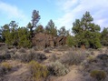 #9: Lava rocks alongside the Badlands Rock Trail