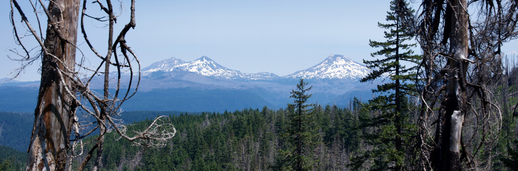 The “Three Sisters”, as seen from the Olallie Trail