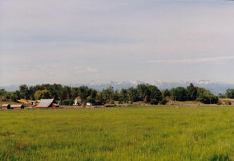 #1: View back out (NE) toward the farmhouse