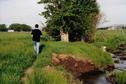 #3: Staying closer to the irrigation canal kept us drier on the way out...