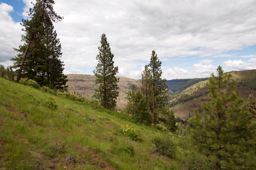 View North (along the slope)