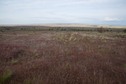 #2: View East (towards Highway 197, just 0.2 miles away)