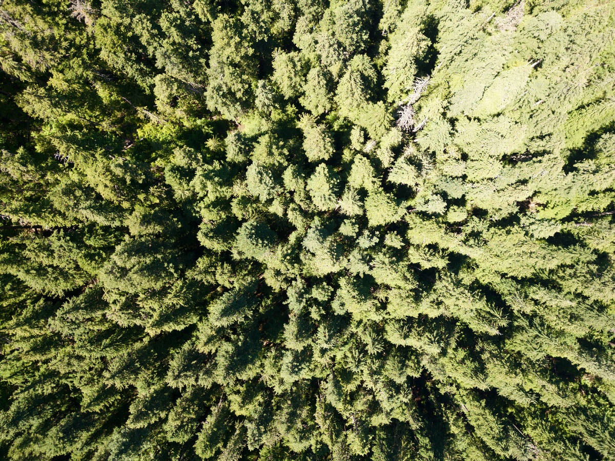 Looking down on the point from a height of 120m