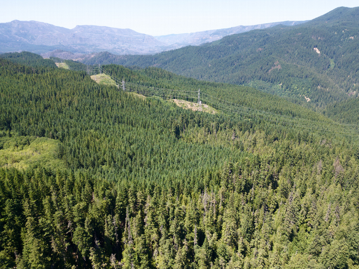 View North, from 120m above the point