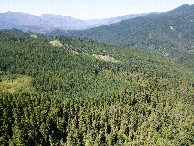 #8: View North, from 120m above the point