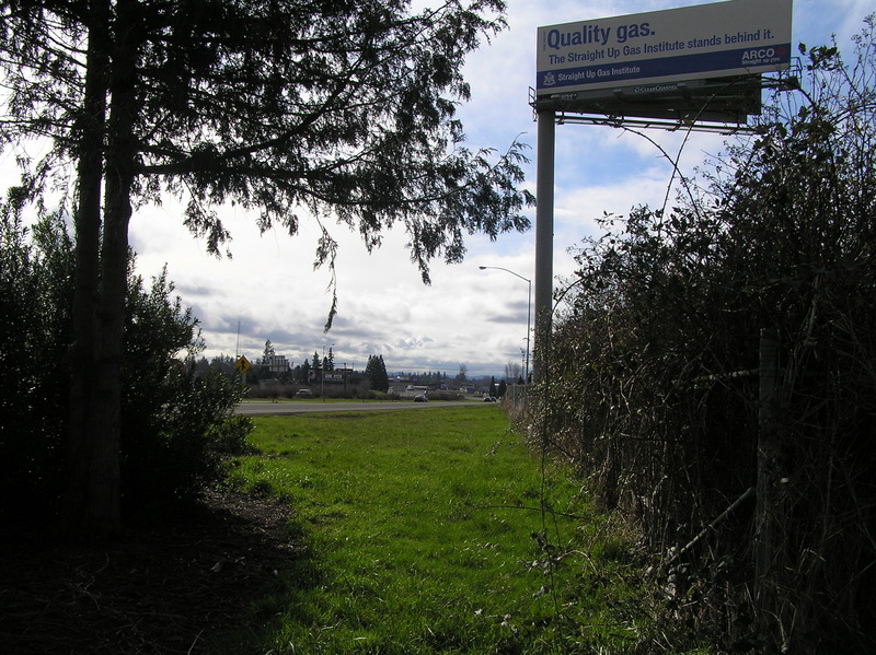 Looking south-southeast, the confluence of 45 North 123 West lies in the middle of the lane on the left side of the clearing.