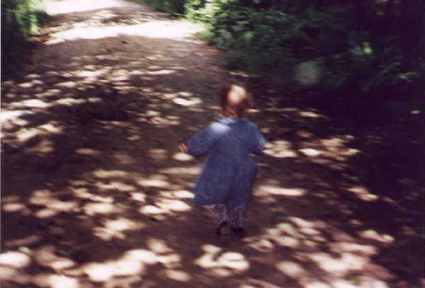 Yona runs down the logging road on our way to the confluence.