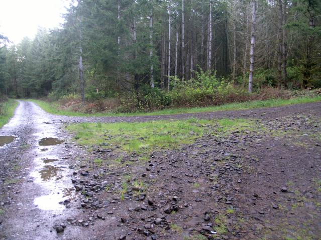 View back across the confluence junction