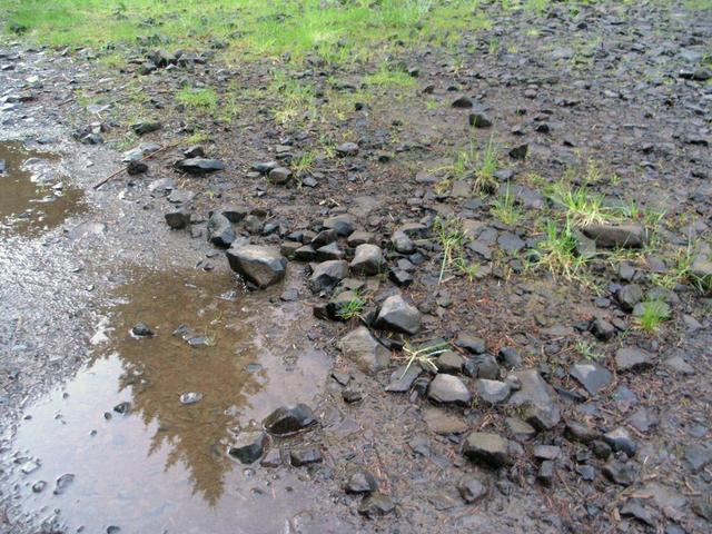 Rocky gravel road