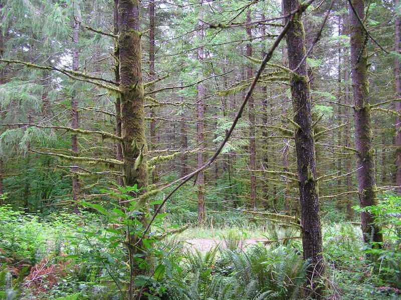 View West (towards the nearby rural road)