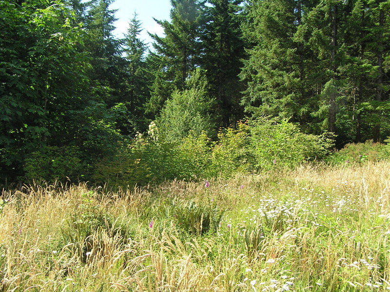 View to the west from the confluence site.