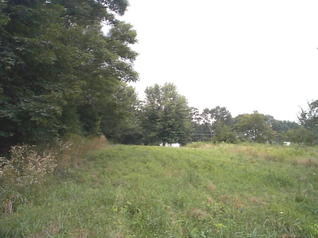 Looking west towards the house