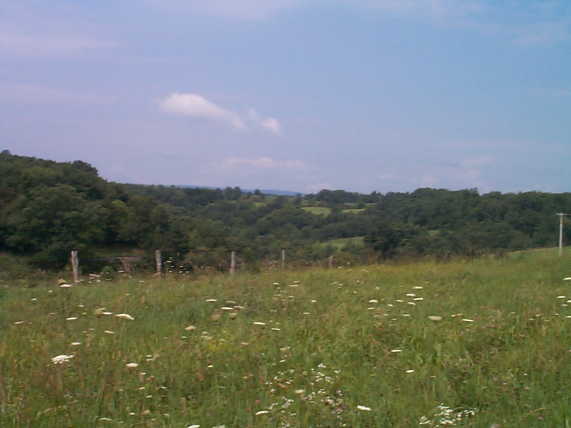 Western view from the confluence