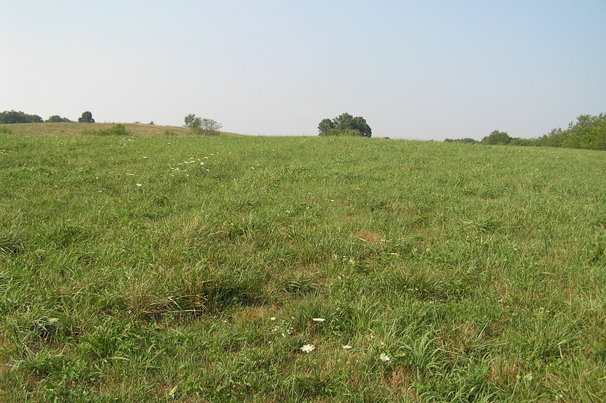 View to the north from the confluence.