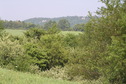 #6: View to the northeast from the confluence.