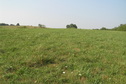 #7: View to the north from the confluence.