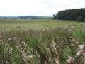 #3: Looking South (wind turbines in distance).