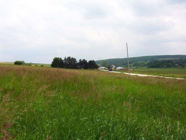 Grass with a house in the background to the east.