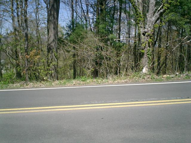 south side of road looking north