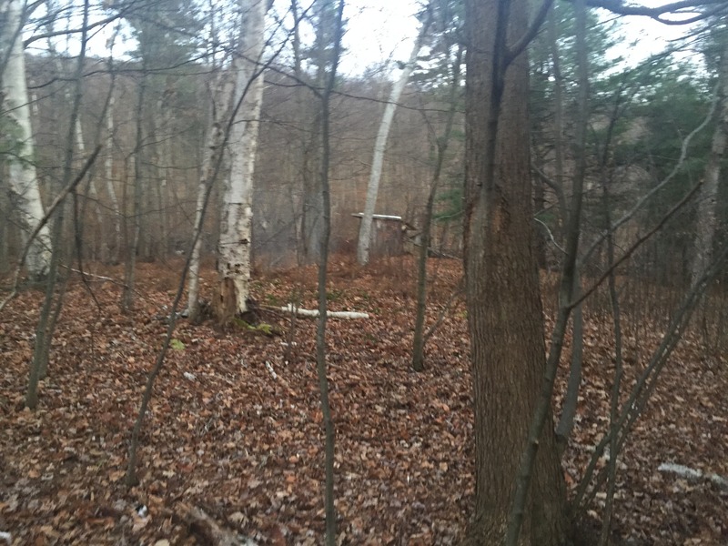 View to the south from the confluence.