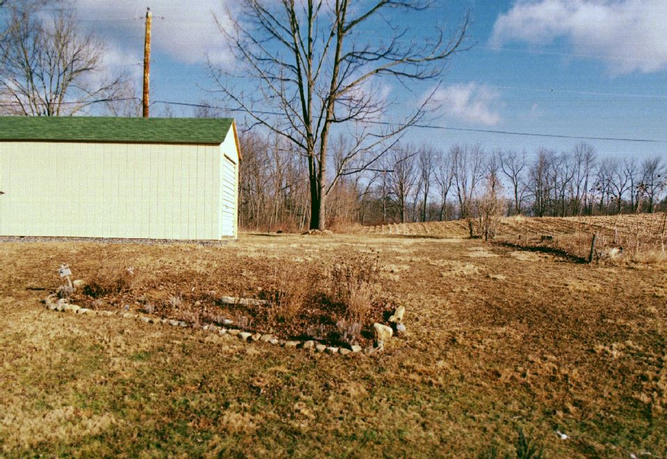 The backyard, looking north.