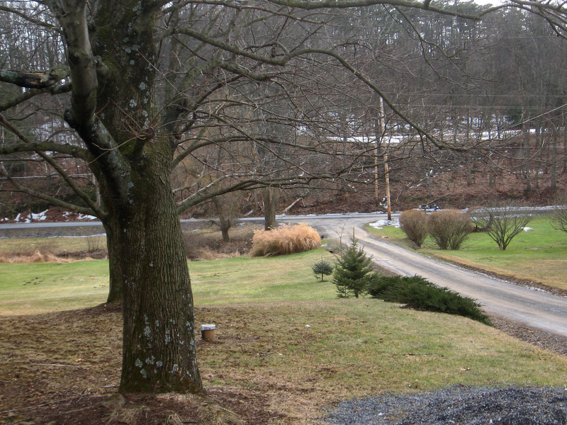 View South down the hill toward Black Run Road.