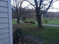 #7: View to the south from the confluence.  With respect to the homeowners, this is actually a bit west of due south to avoid taking a picture directly into their house. 