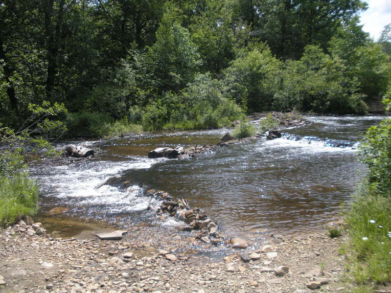 Parked here to follow Black Moshannon Creek