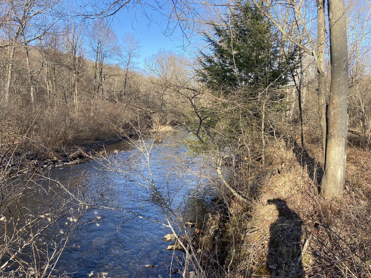 View to the east from the confluence point. 