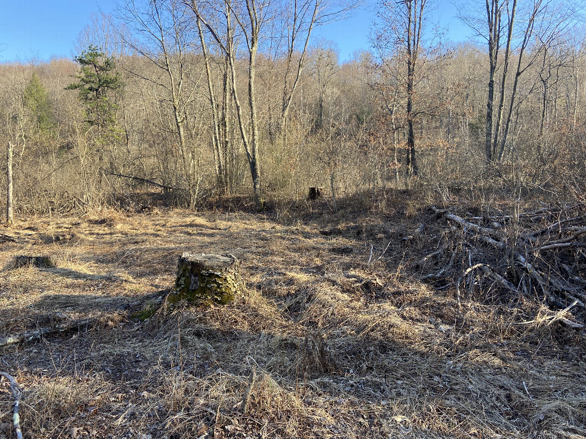 View to the south from the confluence point and the confluence stump.