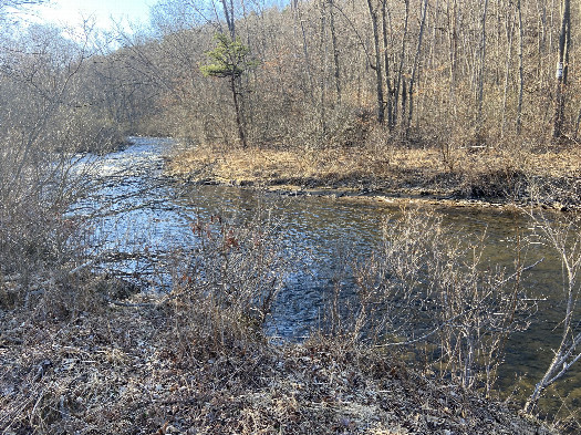 #1: The confluence point lies in the foreground, looking northwest.