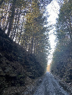 #10: Rail to Trail route on the way to the confluence point. 