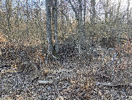 #5: View to the west from the confluence point. 