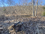 #9: The confluence stump and the area of the confluence in the background.