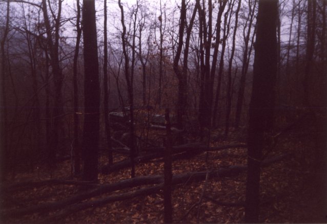 Looking northeast at a large rock