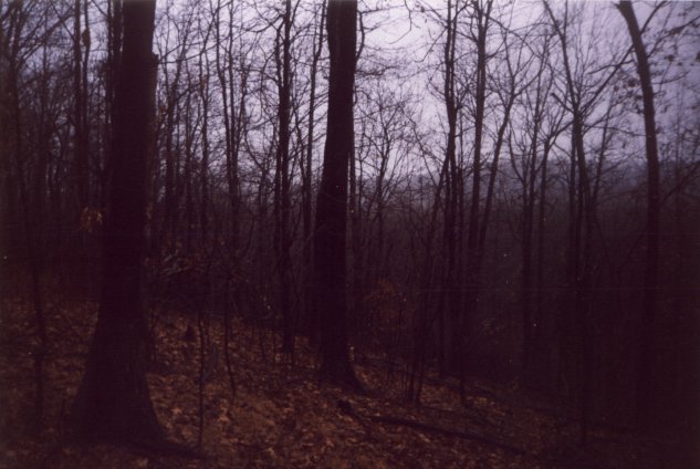 Looking west at the sloping hill