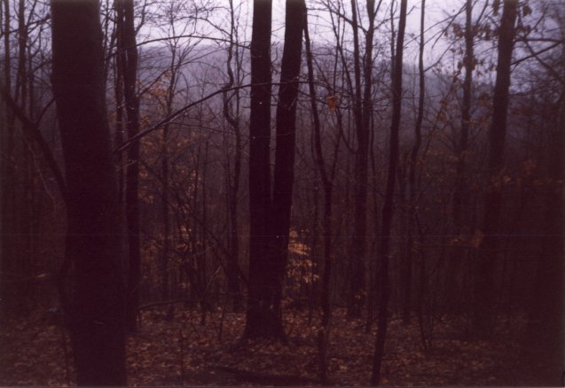 Looking northwest down the slope at a hill in the distance